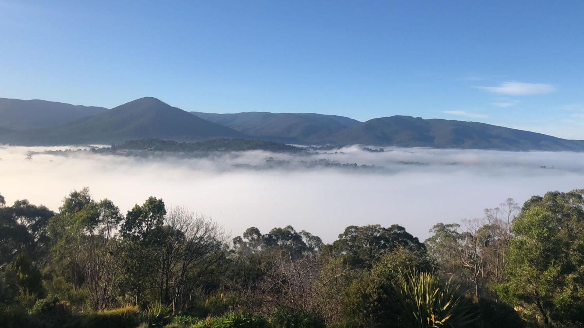 Beauty Of Healesville Extérieur photo